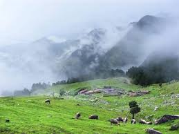 Chopta Valley